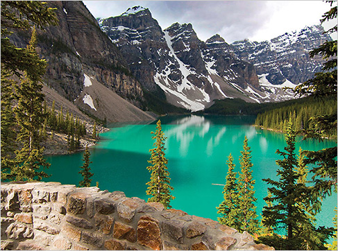 Guest Photo Contest Winner